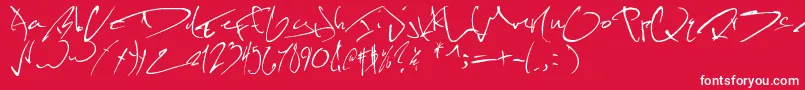 フォントKevinwildfont – 赤い背景に白い文字