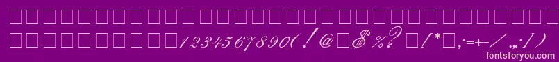 Saksonia Font – Pink Fonts on Purple Background
