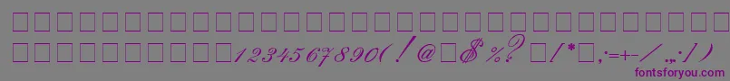 Saksonia-fontti – violetit fontit harmaalla taustalla