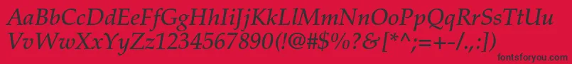 PalatinoltstdMediumitalic Font – Black Fonts on Red Background