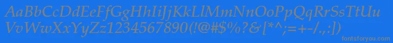PalatinoltstdMediumitalic Font – Gray Fonts on Blue Background