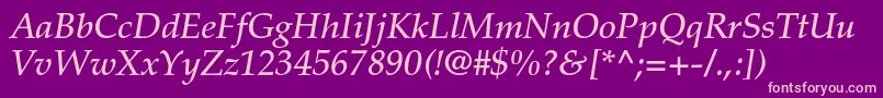 PalatinoltstdMediumitalic Font – Pink Fonts on Purple Background
