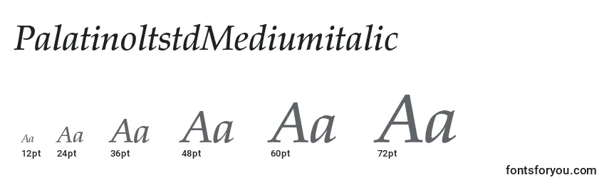 PalatinoltstdMediumitalic Font Sizes