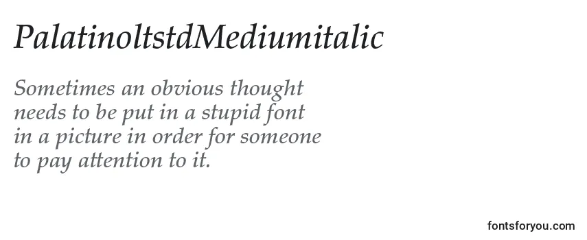 Review of the PalatinoltstdMediumitalic Font