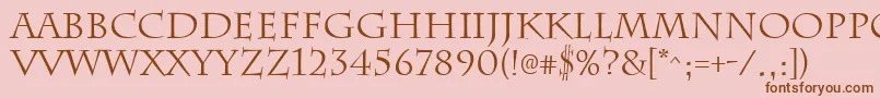 ChattsworthRegular Font – Brown Fonts on Pink Background