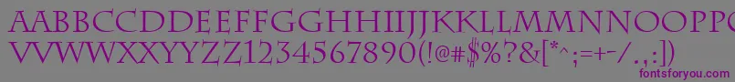 ChattsworthRegular Font – Purple Fonts on Gray Background
