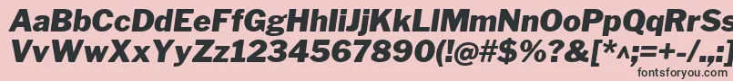 LibrefranklinBlackitalic Font – Black Fonts on Pink Background