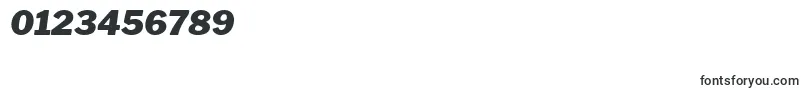 LibrefranklinBlackitalic Font – Fonts for Numbers and Digits