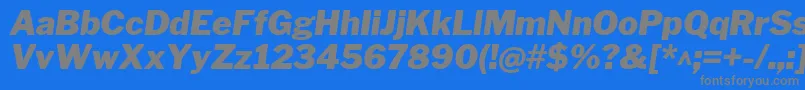 LibrefranklinBlackitalic Font – Gray Fonts on Blue Background