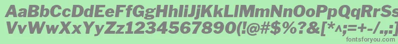 フォントLibrefranklinBlackitalic – 緑の背景に灰色の文字