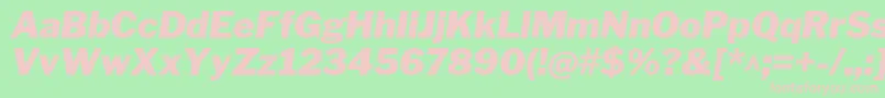 フォントLibrefranklinBlackitalic – 緑の背景にピンクのフォント
