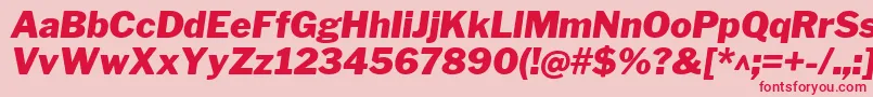 LibrefranklinBlackitalic Font – Red Fonts on Pink Background