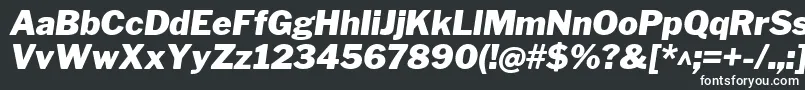 LibrefranklinBlackitalic Font – White Fonts