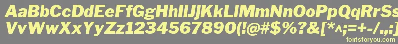 LibrefranklinBlackitalic Font – Yellow Fonts on Gray Background