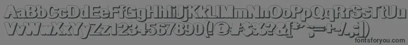 GeometricRegularshadow Font – Black Fonts on Gray Background