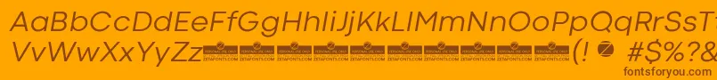 CodecColdNewsItalicTrial Font – Brown Fonts on Orange Background