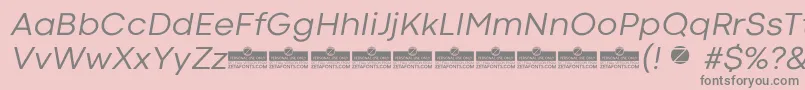 CodecColdNewsItalicTrial Font – Gray Fonts on Pink Background