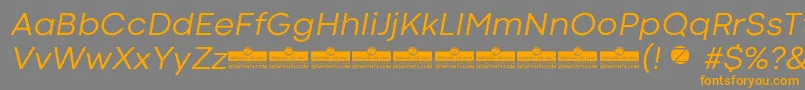 CodecColdNewsItalicTrial Font – Orange Fonts on Gray Background