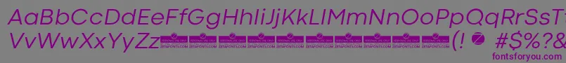 CodecColdNewsItalicTrial Font – Purple Fonts on Gray Background