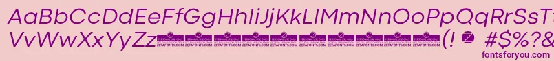 CodecColdNewsItalicTrial Font – Purple Fonts on Pink Background