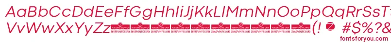 CodecColdNewsItalicTrial Font – Red Fonts on White Background