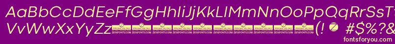 CodecColdNewsItalicTrial Font – Yellow Fonts on Purple Background