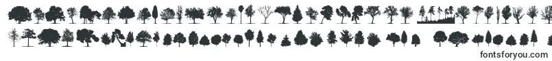 TreesTfb Font – Fonts for Linux