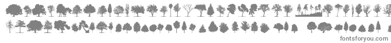 フォントTreesTfb – 白い背景に灰色の文字