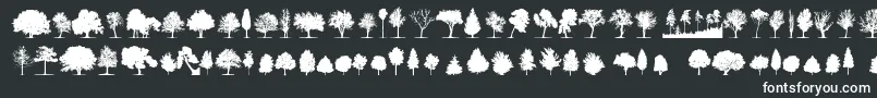 TreesTfb-fontti – valkoiset fontit