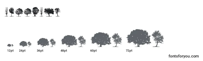 Größen der Schriftart TreesTfb