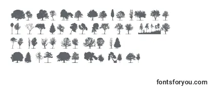 Обзор шрифта TreesTfb