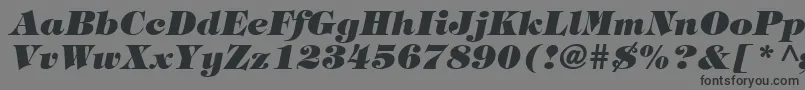 Czcionka HalversonHeavyItalic – czarne czcionki na szarym tle
