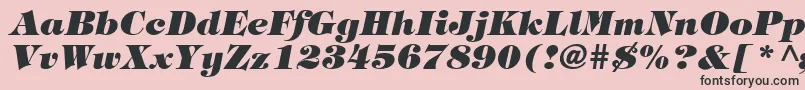 HalversonHeavyItalic Font – Black Fonts on Pink Background