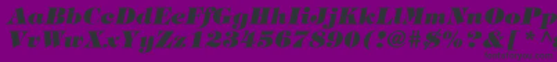 HalversonHeavyItalic Font – Black Fonts on Purple Background