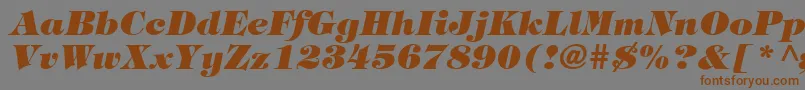 HalversonHeavyItalic Font – Brown Fonts on Gray Background