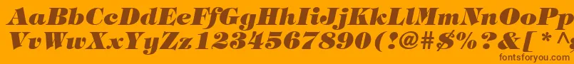 HalversonHeavyItalic Font – Brown Fonts on Orange Background