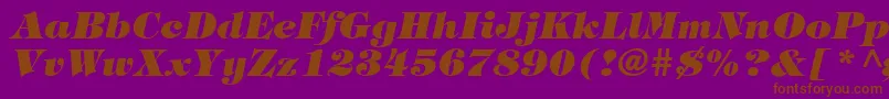 Fonte HalversonHeavyItalic – fontes marrons em um fundo roxo