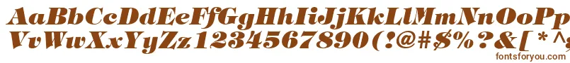 フォントHalversonHeavyItalic – 白い背景に茶色のフォント