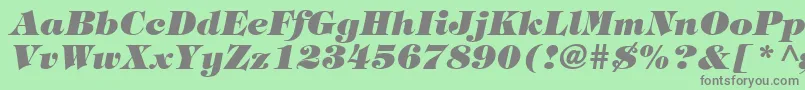 HalversonHeavyItalic Font – Gray Fonts on Green Background