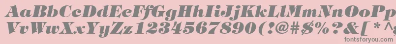 HalversonHeavyItalic Font – Gray Fonts on Pink Background