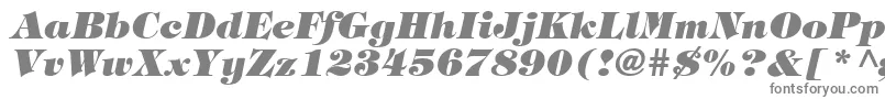 HalversonHeavyItalic Font – Gray Fonts on White Background