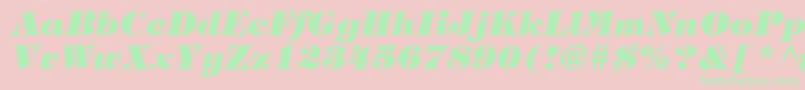 HalversonHeavyItalic Font – Green Fonts on Pink Background