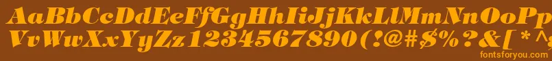 HalversonHeavyItalic Font – Orange Fonts on Brown Background