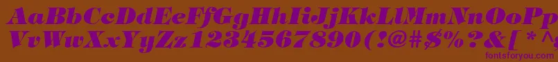 HalversonHeavyItalic Font – Purple Fonts on Brown Background