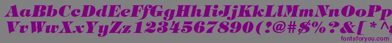 Czcionka HalversonHeavyItalic – fioletowe czcionki na szarym tle