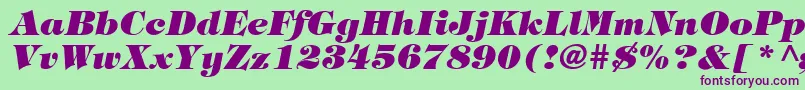 HalversonHeavyItalic Font – Purple Fonts on Green Background