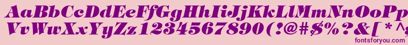 HalversonHeavyItalic Font – Purple Fonts on Pink Background