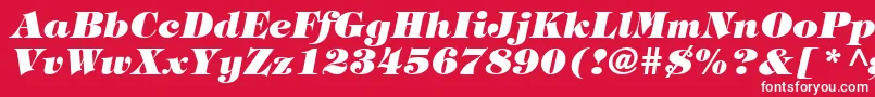 HalversonHeavyItalic Font – White Fonts on Red Background