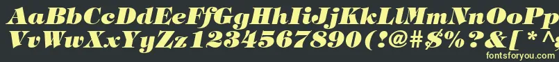 HalversonHeavyItalic Font – Yellow Fonts on Black Background