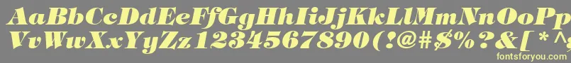 HalversonHeavyItalic Font – Yellow Fonts on Gray Background